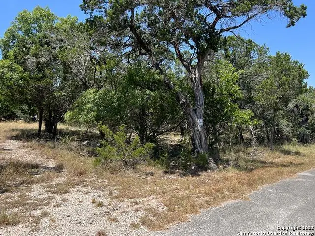 619 Cactus Flower, Canyon Lake, TX 78133 - #2