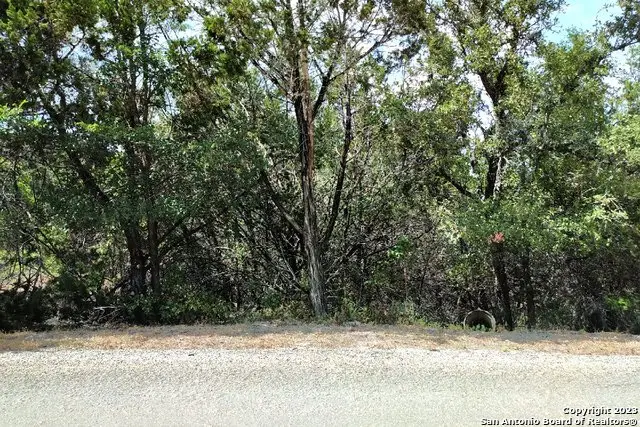 1146 Zane Grey Ln, Spring Branch, TX 78070 - #2