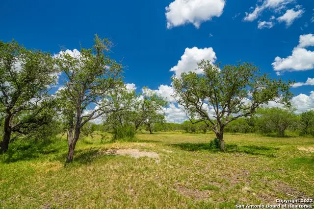 9815 Us-181 N, Skidmore, TX 78389 - #3