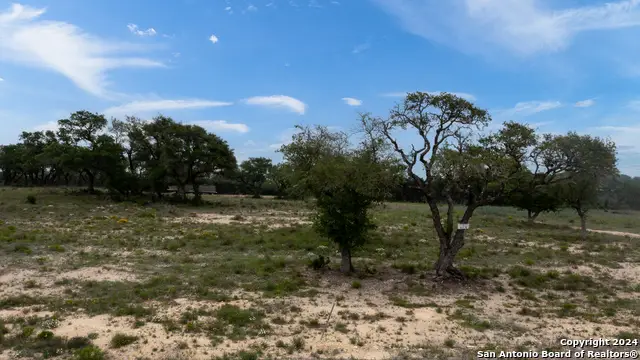 LOT 74 Paradise Parkway, Canyon Lake, TX 78133 - #3
