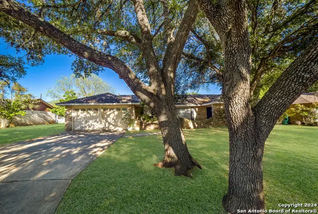 207 Ivy, Boerne, TX 78006 - #2