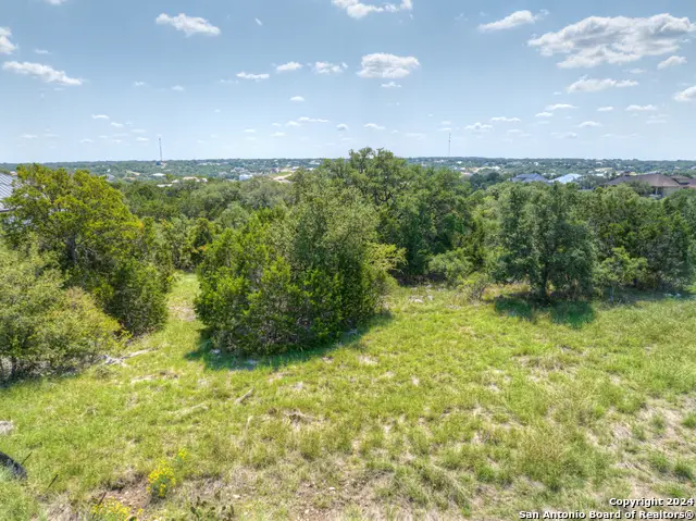 1020 Riesling, New Braunfels, TX 78132 - #1