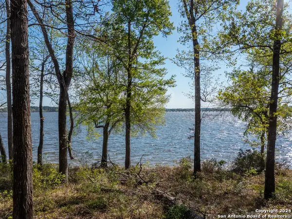 3108 Shadow Pine Drive, Larue, TX 75770