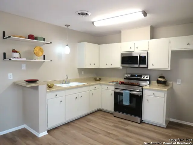 103 W Outer Dr, Canyon Lake, TX 78133 - #3