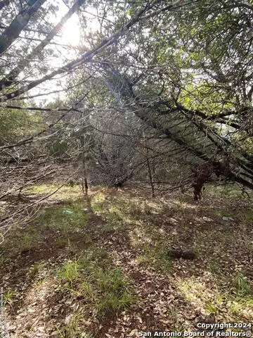 #2