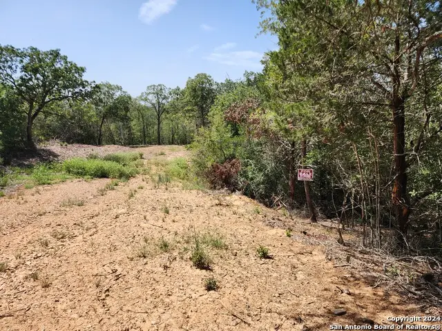 LOT 310 Kalihi Court, Bastrop, TX 78602 - #1