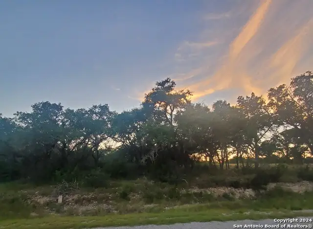 284 Kellog, Fischer, TX 78623 - Image #1