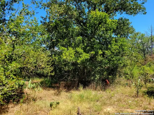 TBD Dale Ln, Dale, TX 78616 - Image #2