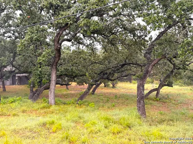 1220 Lakeside Dr, Canyon Lake, TX 78133 - #1