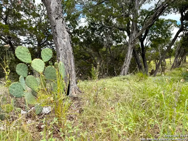 1220 Lakeside Dr, Canyon Lake, TX 78133 - #2