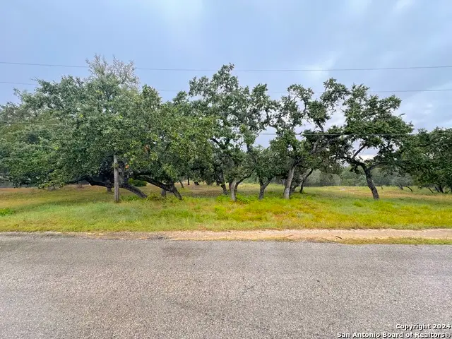 1220 Lakeside Dr, Canyon Lake, TX 78133 - #3