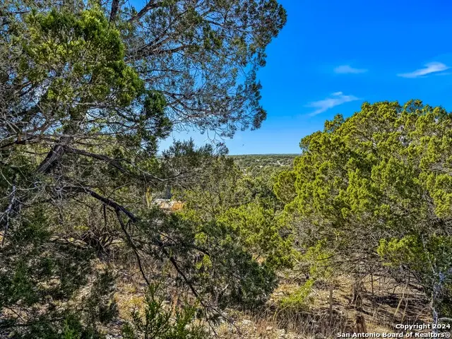 2900 Rocky Ridge Loop, Canyon Lake, TX 78133 - #1