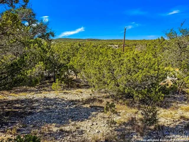 2900 Rocky Ridge Loop, Canyon Lake, TX 78133 - #2