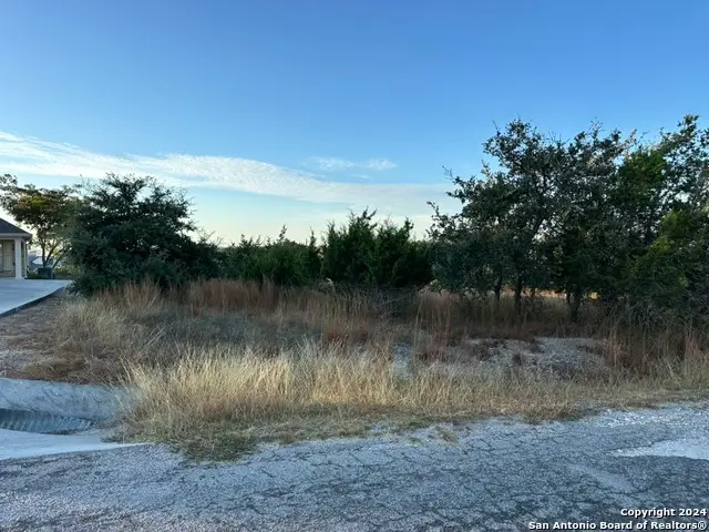 102 Jacob Dearing, Blanco, TX 78606 - #3