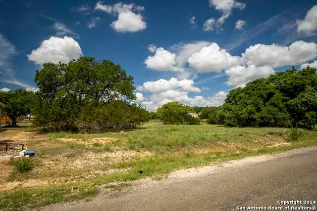 126 Frank Jones, Blanco, TX 78606 - #1