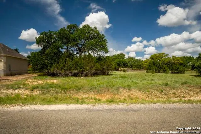 126 Frank Jones, Blanco, TX 78606 - #2