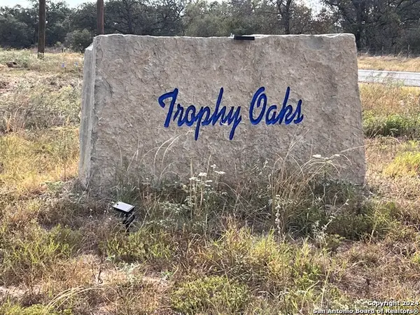 205 Trophy Lane, Poteet, TX 78065