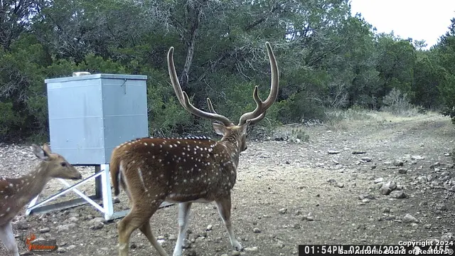#3
