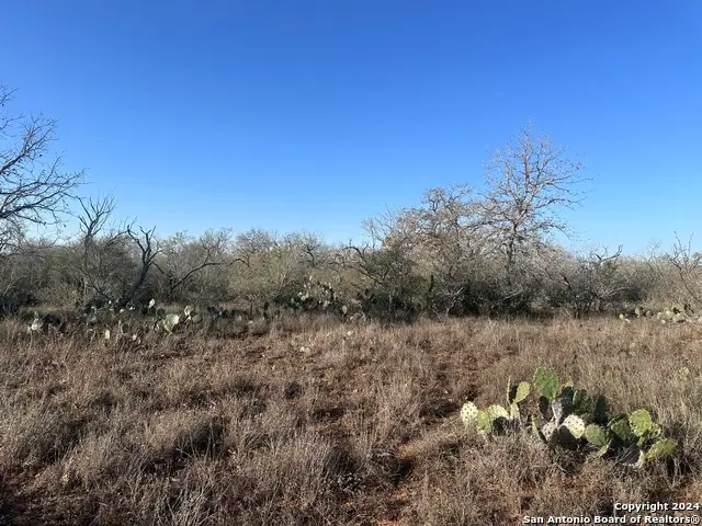 5870 County Road 405, Floresville, TX 78114 - #2