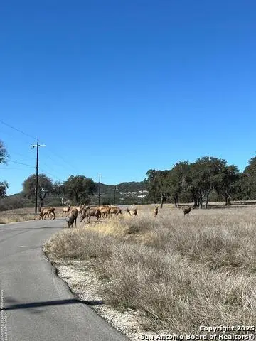 LOT 58 Red Stag Lane, Pipe Creek, TX 78063 - #3