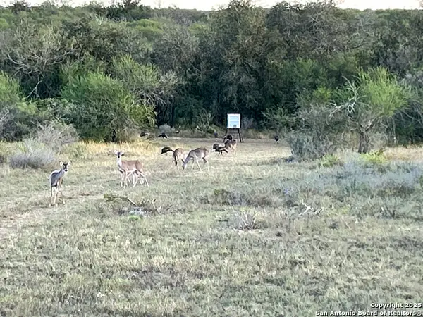 0000 Rockhill Rd, Kenedy, TX 79119