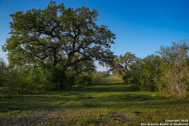 8440 State Highway 239 W, Goliad, TX 77963 - #1