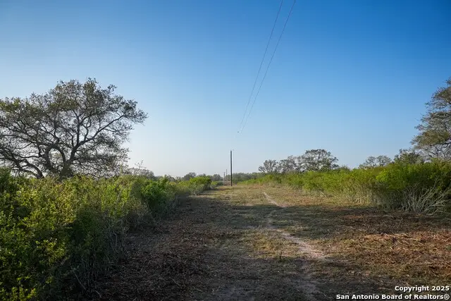 8440 State Highway 239 W, Goliad, TX 77963 - #3