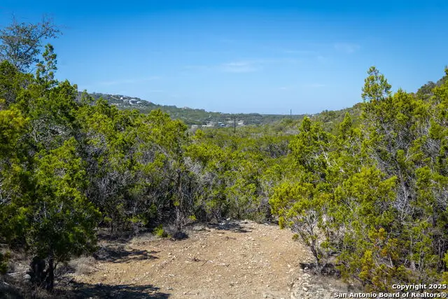 837 Crystal Peak, Fischer, TX 78623 - #1