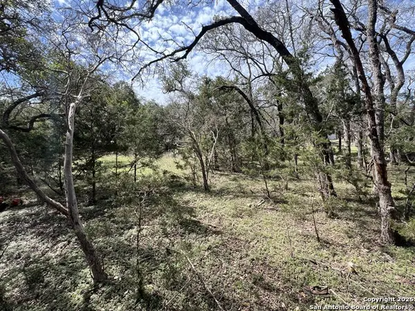 1337 Valley Springs Rd, Spring Branch, TX 78070