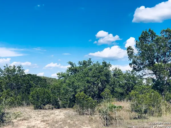 1020 Cliff Circle, Spring Branch, TX 78070