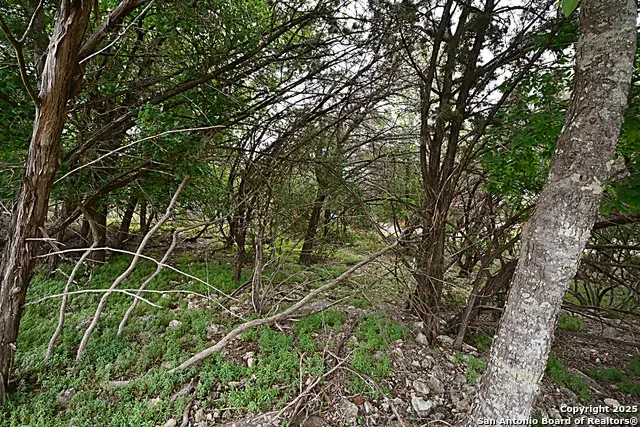 1873 Lakeshore, Canyon Lake, TX 78133 - #3