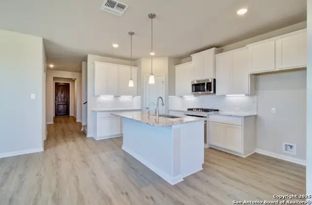 850 Saltbush Street, New Braunfels, TX 78130 - #3