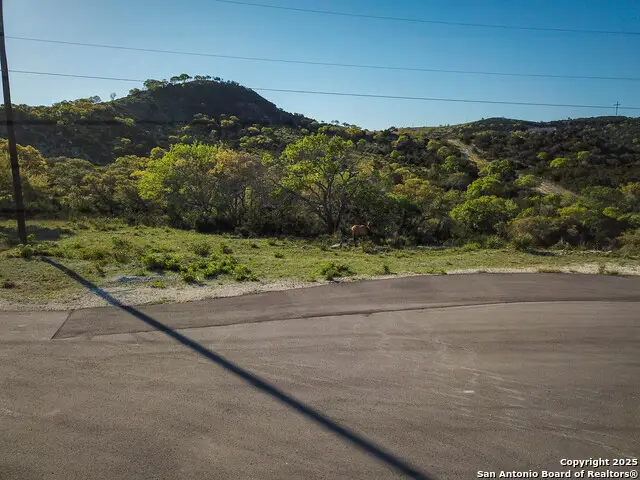 000 Blackbuck Trail, Pipe Creek, TX 78063 - #2