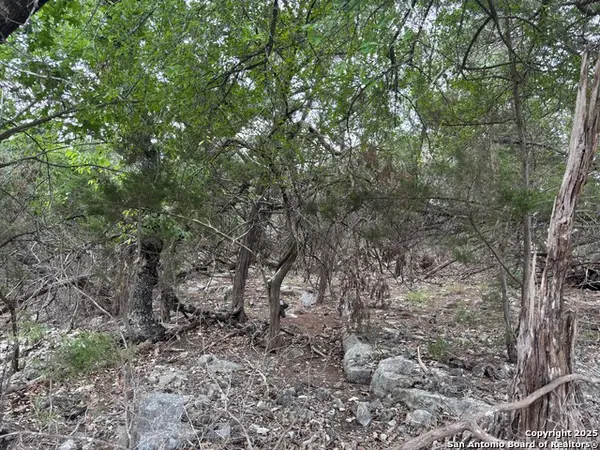 1424 Stahlman, New Braunfels, TX 78132