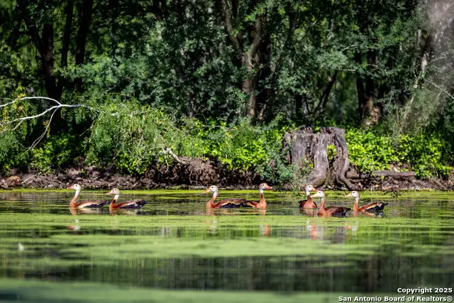 000 County Line Rd # 120, Beeville, TX 78102 - #3