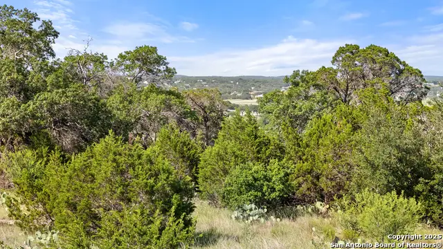 128 Enigma Avenue, Spring Branch, TX 78070 - #2