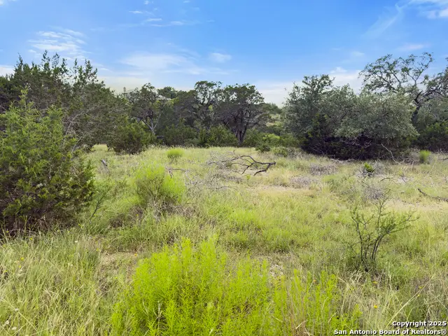 128 Enigma Avenue, Spring Branch, TX 78070 - #3