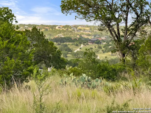 110 Enigma Avenue, Spring Branch, TX 78070 - #1