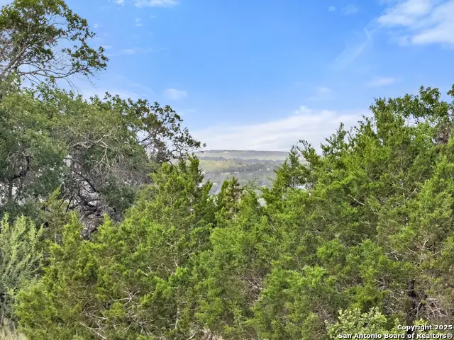 110 Enigma Avenue, Spring Branch, TX 78070 - #3