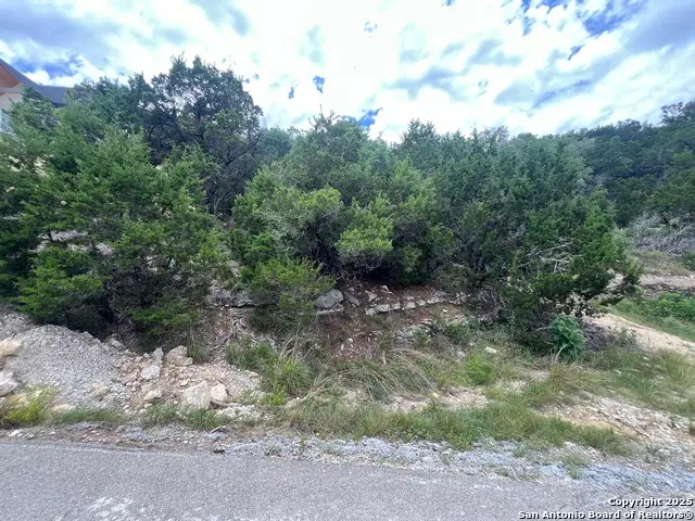 1597 Trail Pass, Canyon Lake, TX 78133 - #1