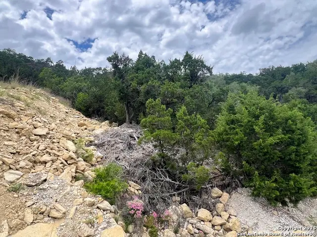 1597 Trail Pass, Canyon Lake, TX 78133 - #3