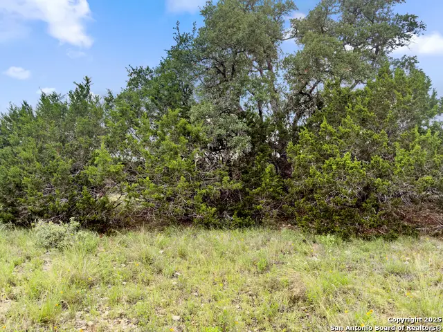 141 Vista View Place, Spring Branch, TX 78070 - #1
