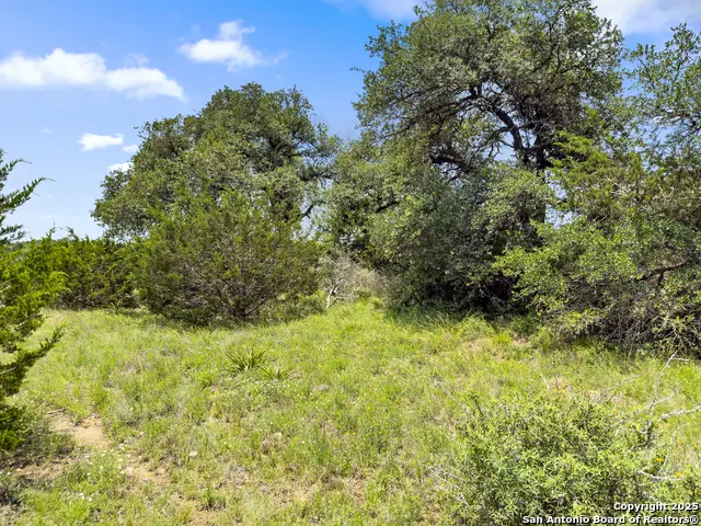 141 Vista View Place, Spring Branch, TX 78070 - #2