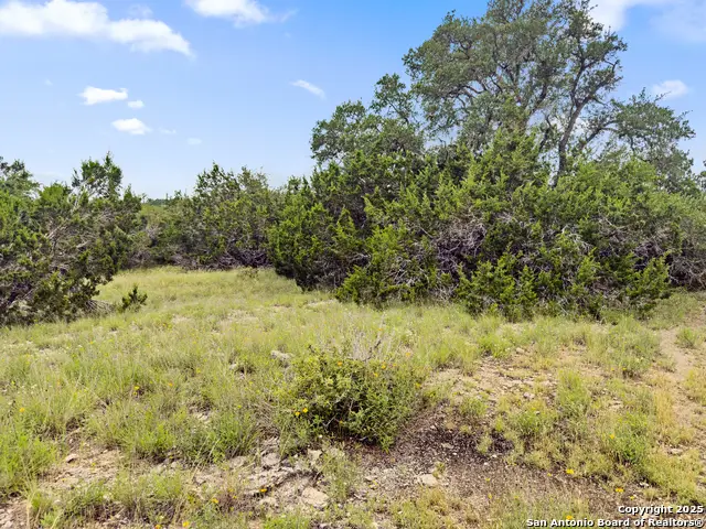 141 Vista View Place, Spring Branch, TX 78070 - #3