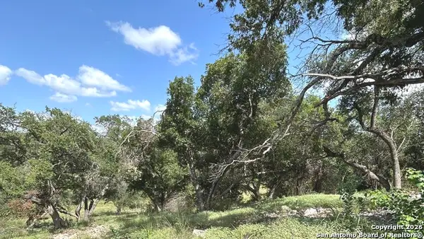 856 Lime Rock, Canyon Lake, TX 78133