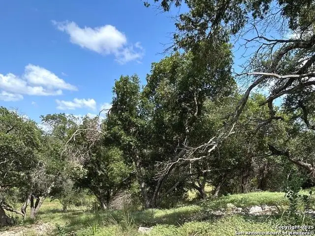 856 Lime Rock, Canyon Lake, TX 78133 - #3