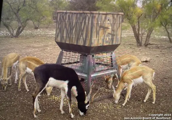 587 Valley Rd, Eldorado, TX 76936 - #3