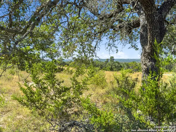 820 Stone Ridge Mountain Drive, Round Mountain, TX 78663