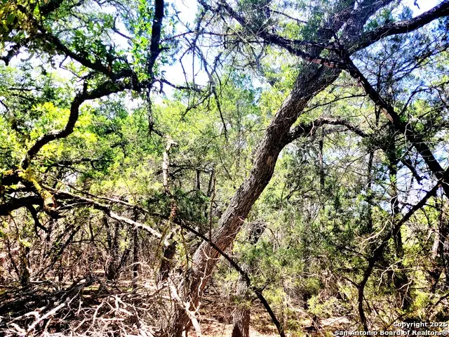 1680 Stallion Springs Dr, Fischer, TX 78623 - Image #2