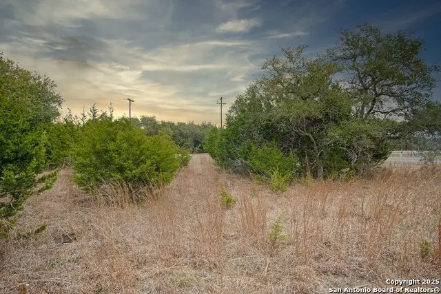 1055 Cielo Springs Dr., Blanco, TX 78606 - #2